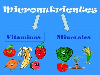 Micronutrientes
Vitaminas Minerales
 