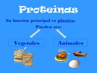 Proteínas
Su función principal es plástica.
Pueden ser:
Vegetales Animales
 