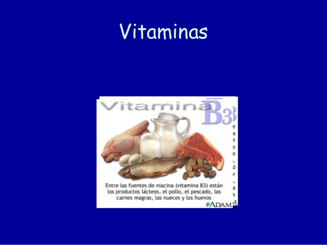 Alimentación. Conceptos básicos Alimentación. Conceptos básicos