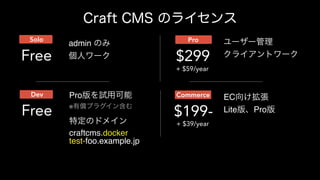 + $59/year
Pro
$299
Solo
Free
admin
+ $39/year
ECCommerce
$199-
Dev
Free
Pro  
※
Lite Pro
craftcms.docker
test-foo.example.jp
 