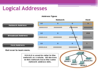 Logical Addresses
 