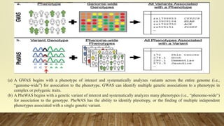 Phenome Wide Association Study - PWAS.pptx
