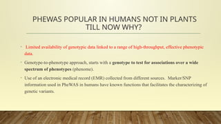 Phenome Wide Association Study - PWAS.pptx