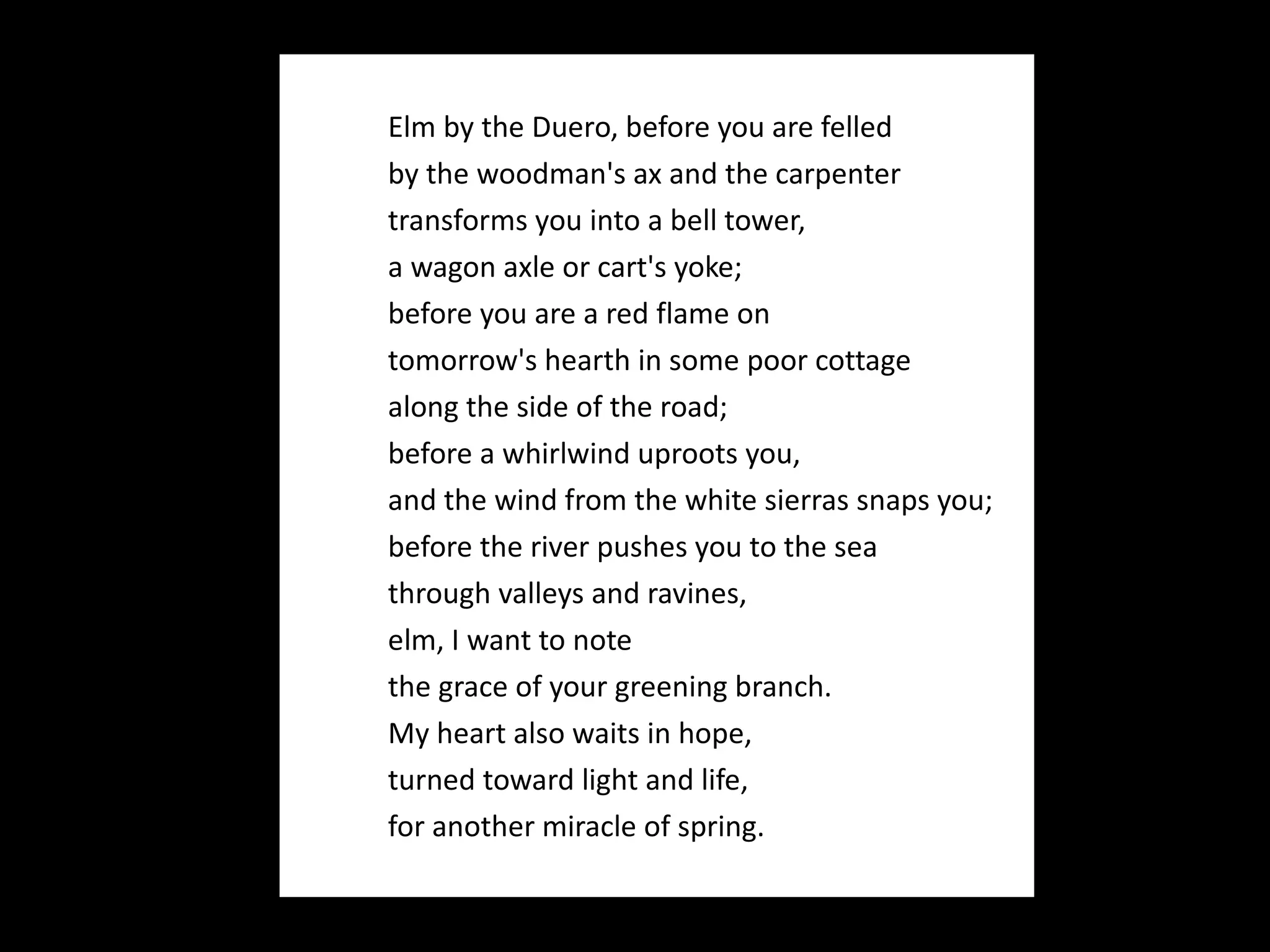 Elm by the Duero, before you are felled by the woodman's ax and the carpenter transforms you into a bell tower, a wagon axle or cart's yoke; before you are a red flame on tomorrow's hearth in some poor cottage along the side of the road; before a whirlwind uproots you, and the wind from the white sierras snaps you; before the river pushes you to the sea through valleys and ravines, elm, I want to note the grace of your greening branch. My heart also waits in hope, turned toward light and life, for another miracle of spring. 