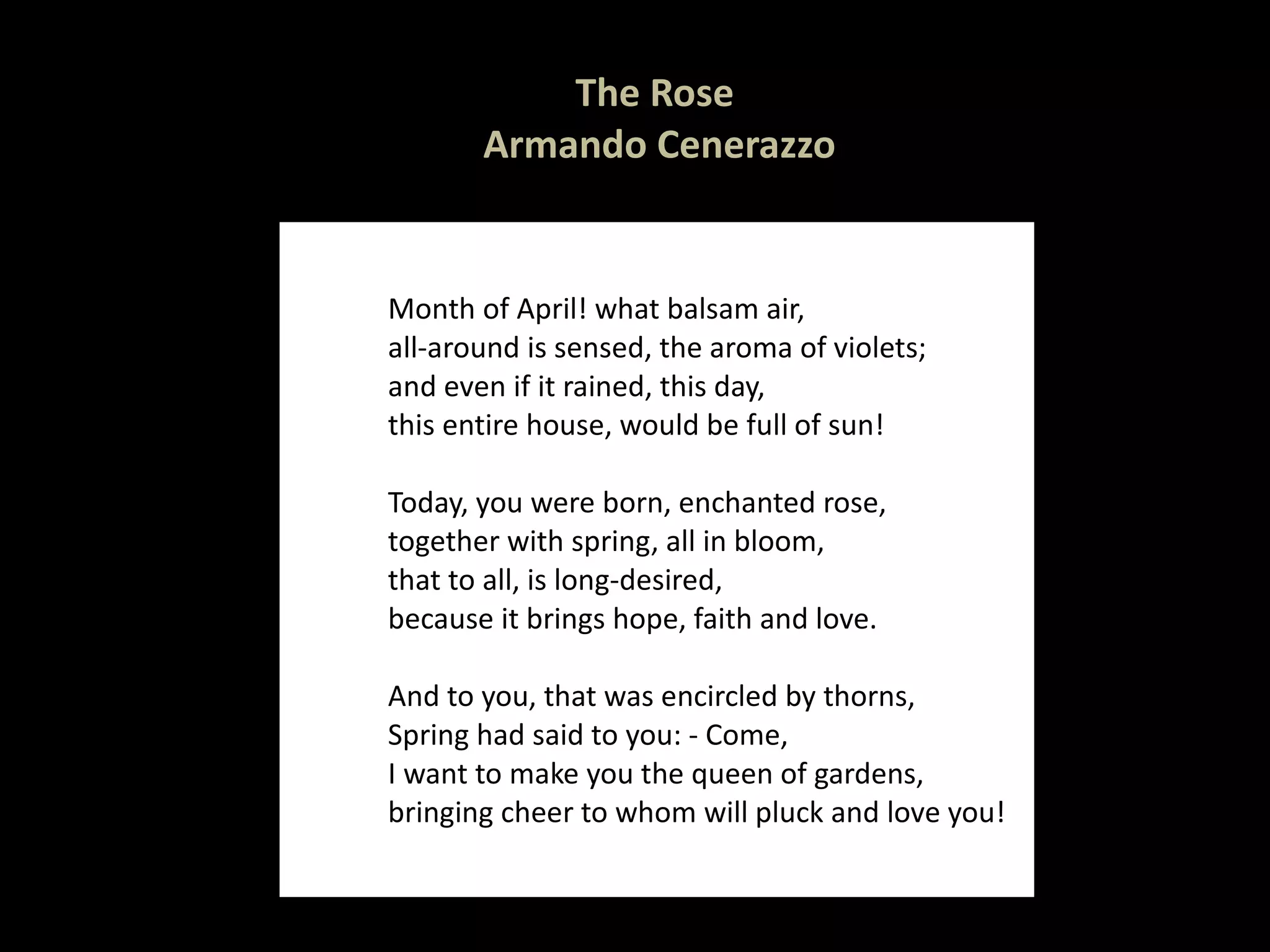 The Rose  Armando   Cenerazzo Month of April! what balsam air,  all-around is sensed, the aroma of violets; and even if it rained, this day, this entire house, would be full of sun!   Today, you were born, enchanted rose, together with spring, all in bloom, that to all, is long-desired, because it brings hope, faith and love. And to you, that was encircled by thorns, Spring had said to you: - Come, I want to make you the queen of gardens, bringing cheer to whom will pluck and love you! 