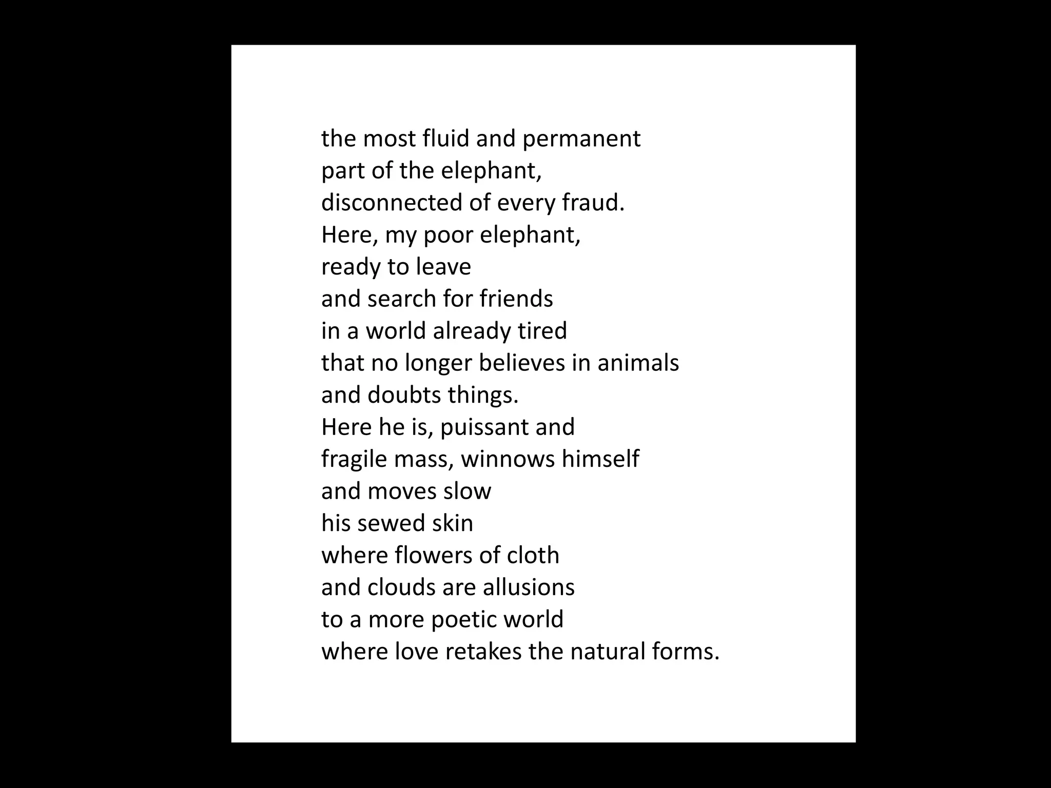 the most fluid and permanent part of the elephant, disconnected of every fraud. Here, my poor elephant, ready to leave and search for friends in a world already tired that no longer believes in animals and doubts things. Here he is, puissant and  fragile mass, winnows himself and moves slow  his sewed skin where flowers of cloth and clouds are allusions to a more poetic world where love retakes the natural forms. 