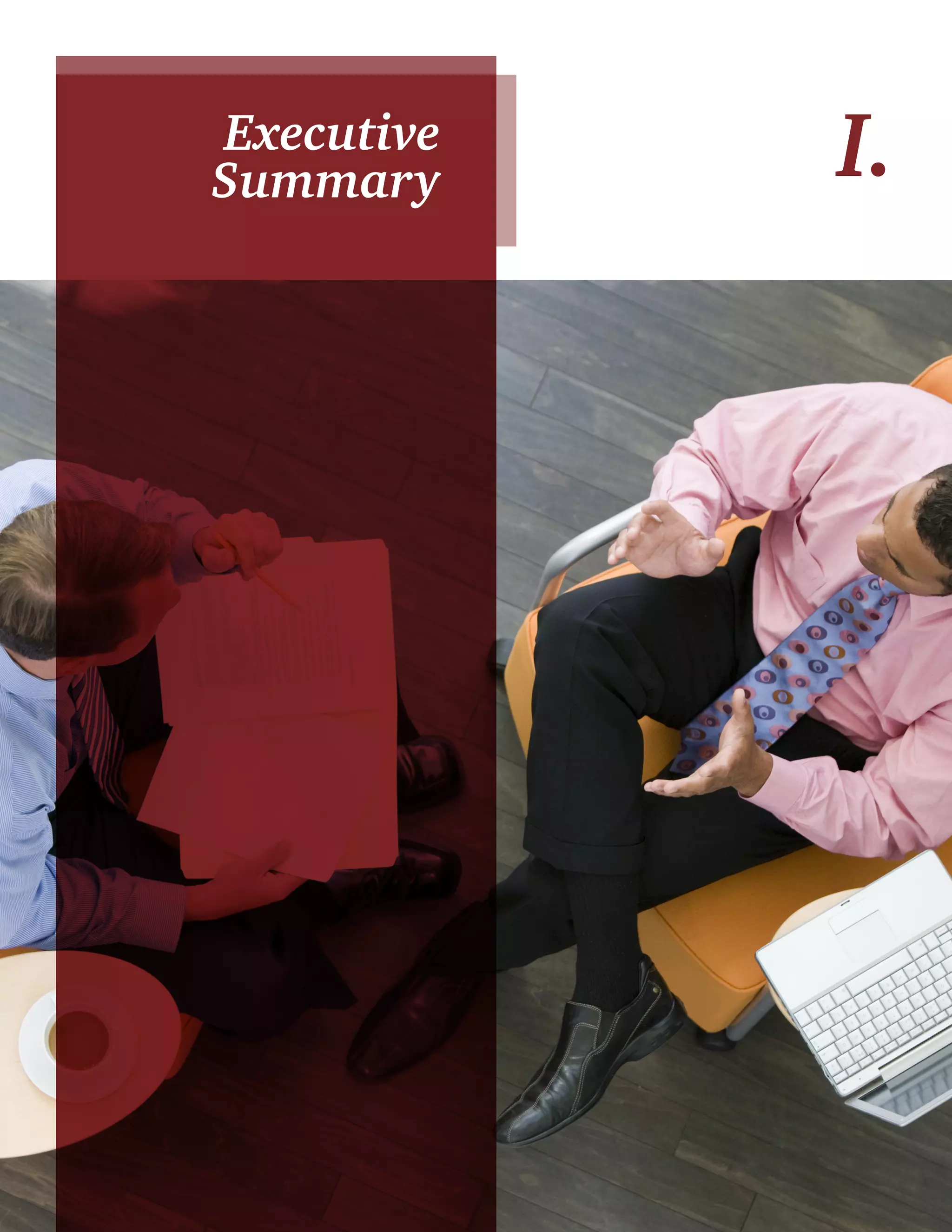 3 
Executive I. 
Summary 
 