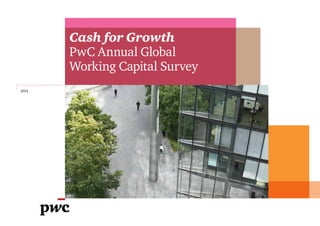 2014 
Cash for Growth 
PwC Annual Global 
Working Capital Survey 
 