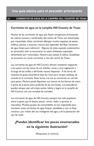 OBSERVACIONES
27
Nasas
 