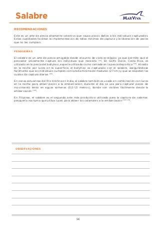 Salabre
RECOMENDACIONES
Este es un arte de pesca altamente selectivo que causa pocos daños a los individuos capturados.
Estas cualidades facilitan la implementación de tallas mínimas de captura y la liberación de peces
que no las cumplan.
PESQUERÍAS
El salabre es un arte de pesca amigable desde el punto de vista ecológico ya que permite que el
pescador únicamente capture los individuos que necesita [121]
. En Golfo Dulce, Costa Rica, es
utilizado en la pesca del ballyhoo, especie utilizada como carnada en la pesca deportiva [121]
. Atraído
en la noche por luces en la superﬁcie, el ballyhoo es capturado con el salabre, asegurándose
fácilmente que los individuos cumplen con la talla mínima de madurez (27 cm) y que se respeten las
cuotas de captura diarias [121]
.
En zonas estuarinas del Río Krishna en India, el salabre también es usado en combinación con luces
en la noche para atraer peces a la embarcación; durante el día se usa para capturar peces de
movimiento lento en aguas someras (0,5-1,5 metros), donde son visibles fácilmente desde la
embarcación [123]
.
En Filipinas, el salabre es el segundo arte más productivo utilizado para la captura de calamar,
pesquería nocturna que utiliza luces para atraer los calamares a la embarcación [122, 124]
.
OBSERVACIONES
56
 