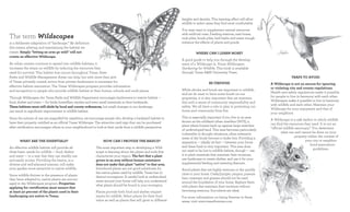 heights and density. This layering effect will allow
                                                                                                                   wildlife to select areas they find most comfortable.
                                                                                                                   You may want to supplement natural resources

The term Wildscapes                                                                                                with artificial ones. Feeding stations, nest boxes,
                                                                                                                   rock piles, brush piles, bird baths and water troughs
is a deliberate adaptation of “landscape.” By definition                                                           enhance the effects of plants and ponds.
this means altering and maintaining the habitat we
create. Simply “letting an area go wild” will not                                                                            Where can I learn more?
create an effective Wildscape.
                                                                                                                   A good guide to help you through the develop-
As urban centers continue to sprawl into wildlife habitats, it                                                     ment of a Wildscape is: Texas Wildscapes:
increases the strain on wildlife by reducing the resources they                                                    Gardening for Wildlife. This book is available
need for survival. This habitat loss occurs throughout Texas. State                                                through Texas A&M University Press.
Parks and Wildlife Management Areas can help, but with more than 90%                                                                                                                      Traps to Avoid
of Texas privately owned, action from private landowners is necessary for                                                             BE FIREWISE                          A Wildscape is not an excuse for ignoring
effective habitat restoration. The Texas Wildscapes program provides information
                                                                                                                                                                           or violating city and county regulations.
and recognition to people who provide wildlife habitat at their homes, schools and work places.                    While shrubs and brush are important to wildlife,
                                                                                                                                                                           Health and safety regulations make it possible
                                                                                                                   and we do want to have some brush on our
Through Wildscapes, the Texas Parks and Wildlife Department encourages landowners to restore habitat —                                                                     for people to live in harmony with each other.
                                                                                                                   properties, it is also important that we maintain
food, shelter and water — for birds, butterflies, reptiles and even small mammals in their backyards.                                                                      Wildscapes make it possible to live in harmony
                                                                                                                   this with a sense of community responsibility and
                                                                                                                                                                           with wildlife and each other. Maintain your
These habitats must still abide by local and county ordinances, but small changes in our landscape                 safety. We all have a role to play in protecting our
                                                                                                                                                                           Wildscape for your enjoyment and that of
can result in significant improvement in wildlife habitat.                                                         home and community from fire.
                                                                                                                                                                           your neighbors.
Since the actions of one are magnified by repetition, we encourage people who develop a backyard habitat to        This is especially important if you live in an area
                                                                                                                                                                           A Wildscape is a safe harbor in which wildlife
have their property certified as an official Texas Wildscape. The attractive yard sign that can be purchased       known as the wildland urban interface (WUI), a
                                                                                                                                                                           can find the resources they need. It is not an
after certification encourages others in your neighborhood to look at their yards from a wildlife perspective.     place where homes back up against large stretches
                                                                                                                                                                           “official wildlife sanctuary.” You determine
                                                                                                                   of undeveloped land. This area becomes particularly
                                                                                                                                                                                   what can and cannot be done on your
                                                                                                                   vulnerable in drought situations, when extensive
                                                                                                                                                                                              property within the context of
                                                                                                                   areas of dry brush become a tinder box. Providing a
       WHAT ARE THE ESSENTIALS?                                   How can I provide the basics?                                                                                                      your city or neighbor-
                                                                                                                   separation — ideally 30 feet — between your home
                                                                                                                                                                                                        hood association
An effective wildlife habitat will provide all               The most important step in developing a Wild-         and these fuels is very important. This area does
                                                                                                                                                                                                          guidelines.
three basic needs for wildlife — food, shelter               scape is learning about the plants and soils that     not need to be lost to wildlife habitat, though — use
and water — in a way that they can readily use               characterize your region. The fact that a plant       it to plant materials that maintain their moisture,
and easily access. Providing the basics, in a                grows in an area without human assistance             use hardscape to create shelter, and use it for your
diverse and well-planned manner, will make                   does not make that plant “native” to that area.       supplemental feeding and watering features.
your garden more attractive to native wildlife.              Introduced plants are not good substitutes for        Avoid plants that are highly resinous or dry quickly
                                                             the native plants used by wildlife. Texas has 10      close to your home. Cedar/juniper, yaupon, possum
Since wildlife thrives in the presence of plants             distinct ecoregions. A careful look at undisturbed
they have adapted to, native plants are encour-                                                                    haw, rosemary and grasses should not be used
                                                             areas around your home will help you understand       around the foundation of your home. Replace them
aged in the Wildscapes program. Properties                   what plants should be found in your ecoregion.
applying for certification must ensure that                                                                        with plants that maintain their moisture without
at least 50 percent of the plants used in their              Plants provide both food and shelter require-         becoming resinous. Succulents are ideal.
landscaping are native to Texas.                             ments for wildlife. Select plants for their food      For more information on being firewise in these
                                                             value as well as plants that will grow to different   areas, visit www.texasfirewise.com
 