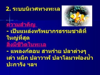 2.  ระบบนิเวศทางทะเล ความสำคัญ  -  เป็นแหล่งทรัพยากรธรรมชาติที่ใหญ่ที่สุด สิ่งมีชีวิตในทะเล -  แพลงก์ตอน สาหร่าย ปลาต่างๆ เต่า หมึก ปลาวาฬ ปลาโลมาฟองน้ำ ปะการัง ฯลฯ 