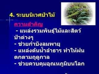 ความสำคัญ -  แหล่งรวมพันธุ์ไม้และสัตว์ป่าต่างๆ  -  ช่วยกำบังลมพายุ  -  แหล่งต้นน้ำลำธาร ทำให้ฝนตกตามฤดูกาล -  ช่วยควบคุมอุณหภูมิบนโลก  -  ช่วยรักษาความชุ่มชื้นของผิวดิน   4.  ระบบนิเวศป่าไม้ 