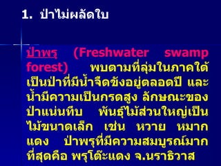 1.  ป่าไม่ผลัดใบ ป่าพรุ   ( Freshwater swamp forest)  พบตามที่ลุ่มในภาคใต้ เป็นป่าที่มีน้ำจืดขังอยู่ตลอดปี และน้ำมีความเป็นกรดสูง ลักษณะของป่าแน่นทึบ พันธุ์ไม้ส่วนใหญ่เป็นไม้ขนาดเล็ก เช่น หวาย หมากแดง ป่าพรุที่มีความสมบูรณ์มากที่สุดคือ พรุโต๊ะแดง จ . นราธิวาส   