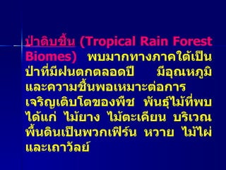 ป่าดิบชื้น   ( Tropical Rain Forest Biomes)  พบมากทางภาคใต้เป็นป่าที่มีฝนตกตลอดปี  มีอุณหภูมิและความชื้นพอเหมาะต่อการเจริญเติบโตของพืช พันธุ์ไม้ที่พบ ได้แก่ ไม้ยาง ไม้ตะเคียน บริเวณพื้นดินเป็นพวกเฟิร์น หวาย ไม้ไผ่และเถาวัลย์ 