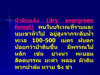 ป่าดิบแล้ง  ( dry evergreen forest)   พบในบริเวณที่ราบและหุบเขาทั่วไป อยู่สูงจากระดับน้ำทะเล  100-500   เมตร ฝนตกน้อยกว่าป่าดิบชื้น มีพรรณไม้หลัก เช่น ยางนา พะยอม สัตตบรรณ มะค่า พลอง ผิวดิน พวกปาล์ม หวาย ขิง ข่า 