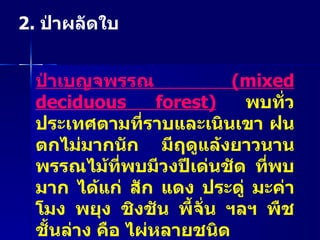 2.  ป่าผลัดใบ ป่าเบญจพรรณ  ( mixed deciduous forest)   พบทั่วประเทศตามที่ราบและเนินเขา ฝนตกไม่มากนัก มีฤดูแล้งยาวนาน พรรณไม้ที่พบมีวงปีเด่นชัด ที่พบมาก ได้แก่ สัก แดง ประดู่ มะค่าโมง พยุง ชิงชัน พี้จั่น ฯลฯ พืชชั้นล่าง คือ ไผ่หลายชนิด  