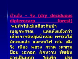 ป่าเต็ง  -  รัง  ( dry deciduous dipterocarp forest)   พบทั่วไปเช่นเดียวกับป่าเบญจพรรณ แต่แห้งแล้งกว่าเนื่องจากดินอุ้มน้ำน้อย พรรณไม้มักทนแล้ง และทนไฟ เช่น เต็ง รัง เหียง พลวง กราด มะขามป้อม มะกอก ผักหวาน พืชชั้นล่างเป็นหญ้า ไผ่เพ็ก ปรง กระเจียว เปราะ  