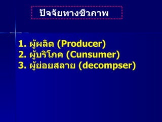 ปัจจัยทางชีวภาพ  1.  ผู้ผลิต  ( Producer)  2.   ผู้บริโภค  ( Cunsumer)  3.  ผู้ย่อยสลาย  ( decompser) 