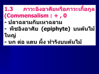 1.3  ภาวะอิงอาศัยหรือภาวะเกื้อกูล  ( Commensalism : + , 0  -  ปลาฉลามกับเหาฉลาม   -  พืชอิงอาศัย  ( epiphyte)  บนต้นไม้ใหญ่  -  นก ต่อ แตน ผึ้ง ทำรังบนต้นไม้  