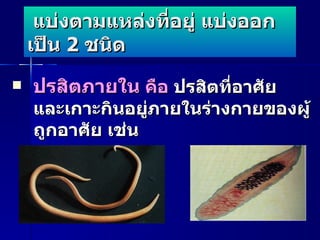 แบ่งตามแหล่งที่อยู่ แบ่งออกเป็น  2  ชนิด ปรสิตภายใน  คือ  ปรสิตที่อาศัย และเกาะกินอยู่ภายในร่างกายของผู้ถูกอาศัย เช่น พยาธิตัวตืด  พยาธิใบไม้ตับ 