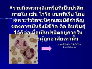 รวมถึงพวกจุลินทรีย์ที่เป็นปรสิตภายใน เช่น ไวรัส แบคทีเรีย โดยเฉพาะไวรัสจะมีคุณสมบัติสำคัญของการเป็นสิ่งมีชีวิต คือ สืบพันธุ์ได้ก็ต่อเมื่อเป็นปรสิตอยู่ภายในเซลล์ของผู้ถูกอาศัยเท่านั้น แบคทีเรียที่ทำให้เกิดโรคผิวหนังในแมว 