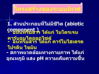1.  ส่วนประกอบที่ไม่มีชีวิต  ( abiotic component ) -  อนินทรียสาร ได้แก่ ไนโตรเจน คาร์บอนไดออกไซด์  -  อินทรียสาร ได้แก่ คาร์โบไฮเดรต โปรตีน ไขมัน  -  สภาพแวดล้อมทางกายภาพ ได้แก่ อุณหภูมิ แสง  pH   ความเค็มความชื้น  โครงสร้างของระบบนิเวศ 