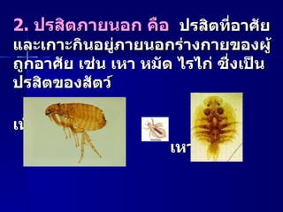 2.  ปรสิตภายนอก คือ  ปรสิตที่อาศัยและเกาะกินอยู่ภายนอกร่างกายของผู้ถูกอาศัย เช่น เหา หมัด ไรไก่ ซึ่งเป็นปรสิตของสัตว์ หมัด  เห็บ เหา 