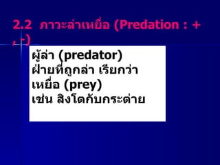 2.2  ภาวะล่าเหยื่อ  ( Predation : + , -)  ผู้ล่า   (predator)  ฝ่ายที่ถูกล่า เรียกว่า เหยื่อ  ( prey)  เช่น  สิงโตกับกระต่าย 