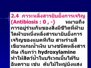 2.4  ภาวะหลั่งสารยับยั้งการเจริญ  ( Antibiosis : 0 , -)  หมายถึง การอยู่ร่วมกันของสิ่งมีชีวิตที่ฝ่ายใดฝ่ายหนึ่งหลั่งสารมายับยั้งการเจริญของแบคทีเรีย สาหร่ายสีเขียวแกมน้ำเงิน บางชนิดหลั่งสารพิษ เรียกว่า  hydroxylamine  ทำให้สัตว์น้ำในบริเวณนั้นได้รับอันตราย   เช่น  ต้นไม้ใหญ่บังแสงต้นไม้เล็ก ทำให้ต้นไม้เล็กไม่เจริญ ต้นไม้ใหญ่ไม่ได้รับ และไม่เสียประโยชน์ 