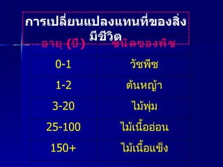 การเปลี่ยนแปลงแทนที่ของสิ่งมีชีวิต อายุ  ( ปี ) ชนิดของพืช 0-1 วัชพืช 1-2 ต้นหญ้า 3-20 ไม้พุ่ม 25-100 ไม้เนื้ออ่อน 150 + ไม้เนื้อแข็ง 