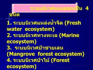 ระบบนิเวศแบ่งออกเป็น  4  ชนิด  1.  ระบบนิเวศแหล่งน้ำจืด  ( Fresh  water  ecosystem )  2.  ระบบนิเวศทางทะเล   (Marine ecosystem)  3.  ระบบนิเวศป่าชายเลน   (Mangrove  forest ecosystem) 4.  ระบบนิเวศป่าไม้   (Forest  ecosystem)   