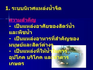 1.  ระบบนิเวศแหล่งน้ำจืด ความสำคัญ   -  เป็นแหล่งอาศัยของสัตว์น้ำ และพืชน้ำ -  เป็นแหล่งอาหารที่สำคัญของมนุษย์และสัตว์ต่างๆ -  เป็นแหล่งที่ให้น้ำในการอุปโภค บริโภค และทำการเกษตร 