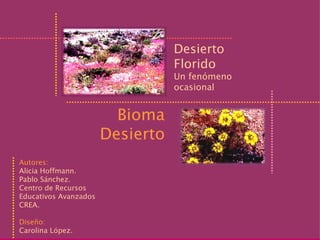 Bioma Desierto Desierto  Florido Un fenómeno  ocasional Autores: Alicia Hoffmann. Pablo Sánchez. Centro de Recursos Educativos Avanzados CREA. Diseño: Carolina López. 