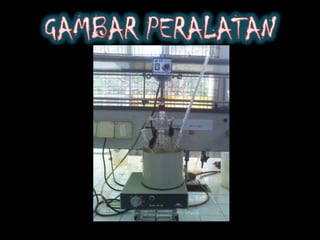 Pwer point bidiesel (kelompok ii)