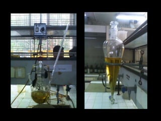 Pwer point bidiesel (kelompok ii)