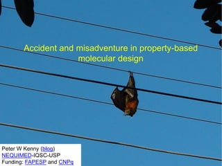 Accident and misadventure in property-based molecular design 
Peter W Kenny (blog) 
NEQUIMED-IQSC-USP 
Funding: FAPESPand CNPq  