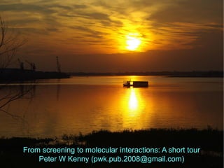 From screening to molecular interactions: A short tour
Peter W Kenny (pwk.pub.2008@gmail.com)
 