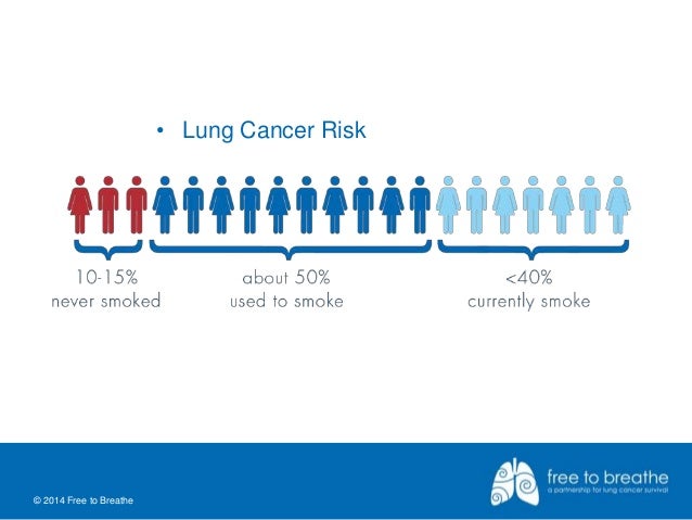 Image Result For Lung Cancer Facts Image Result For Lung Cancer Facts