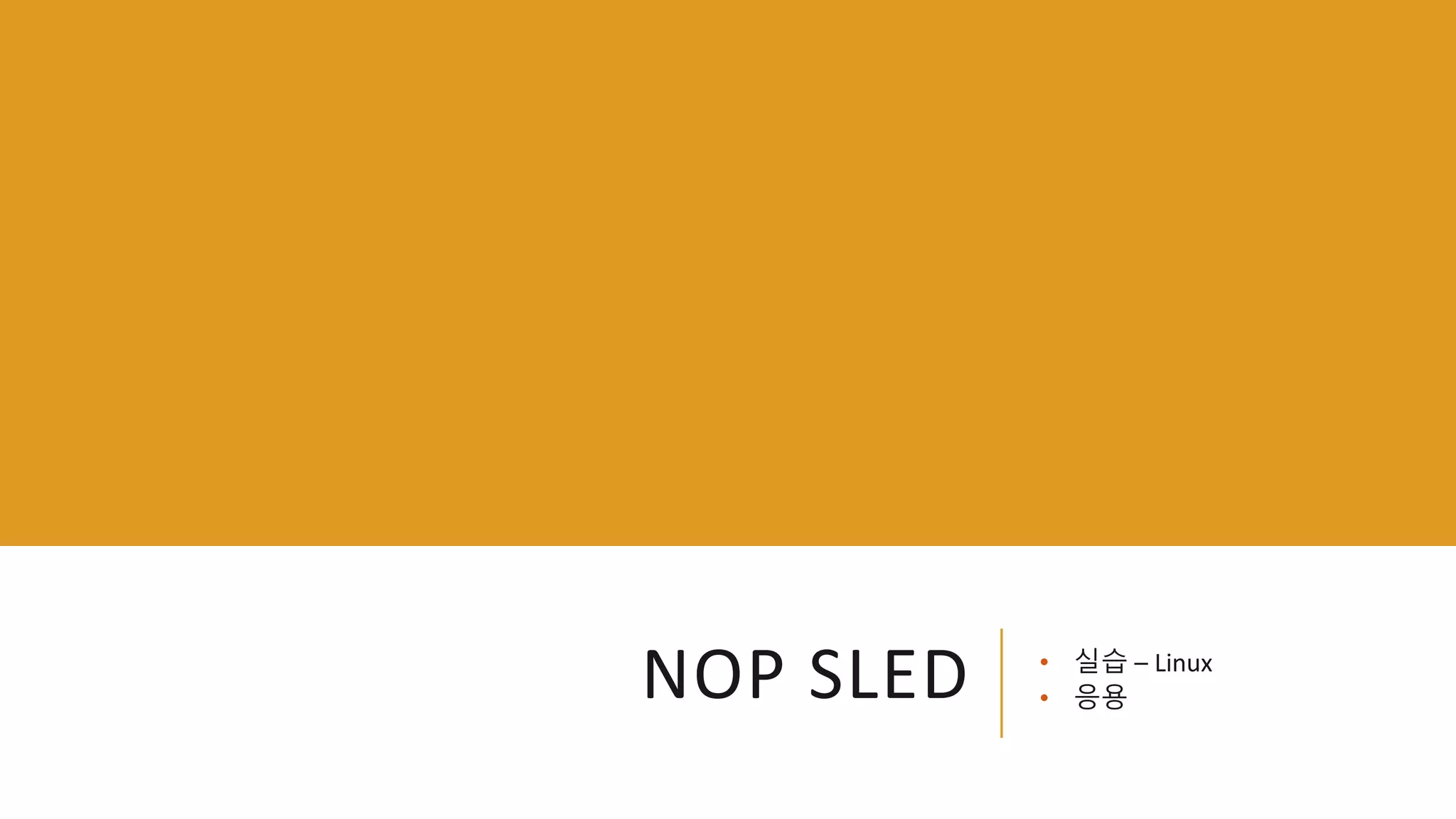 NOP SLED • 실습 – Linux
• 응용
 
