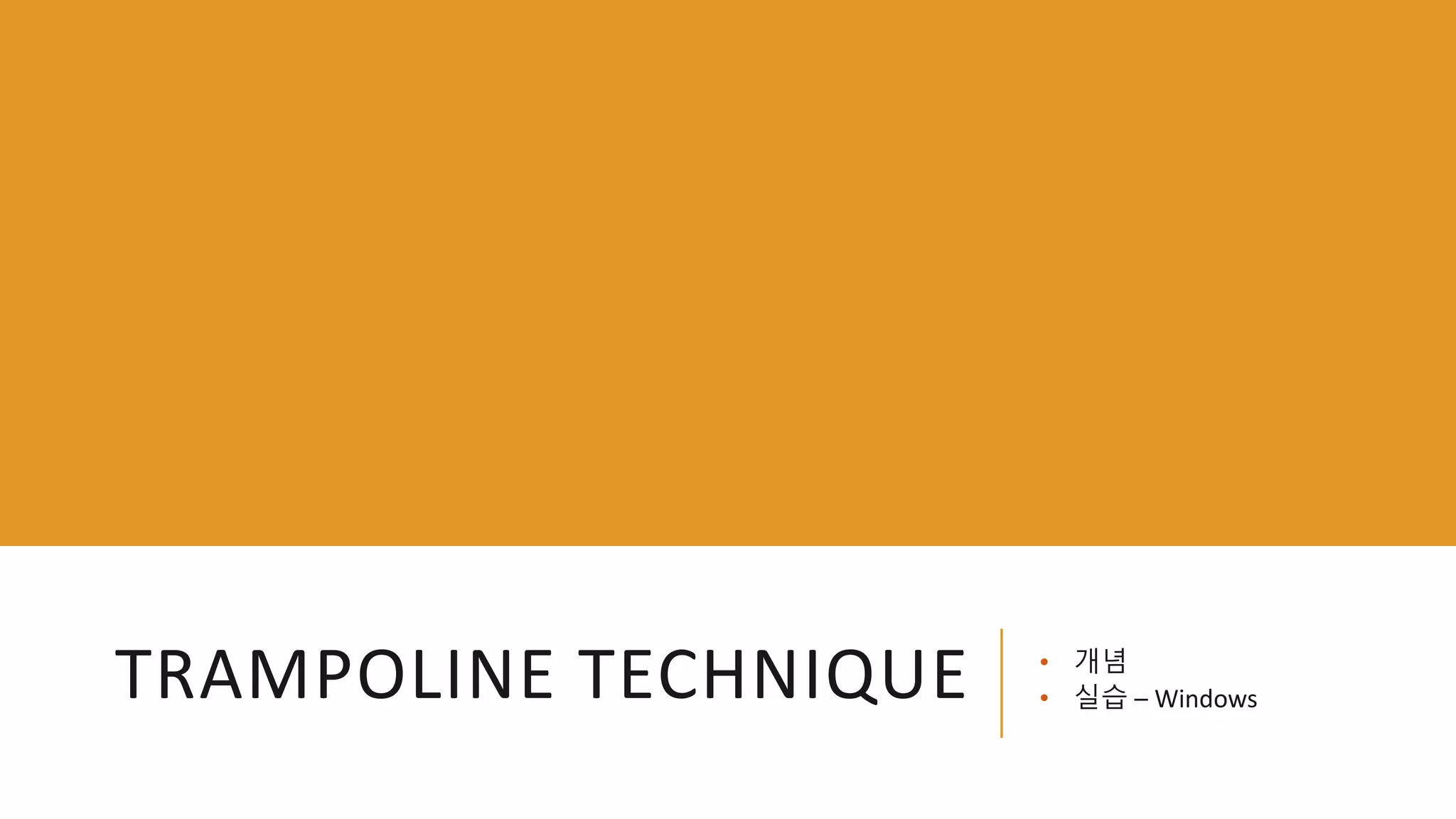 TRAMPOLINE TECHNIQUE • 개념
• 실습 – Windows
 