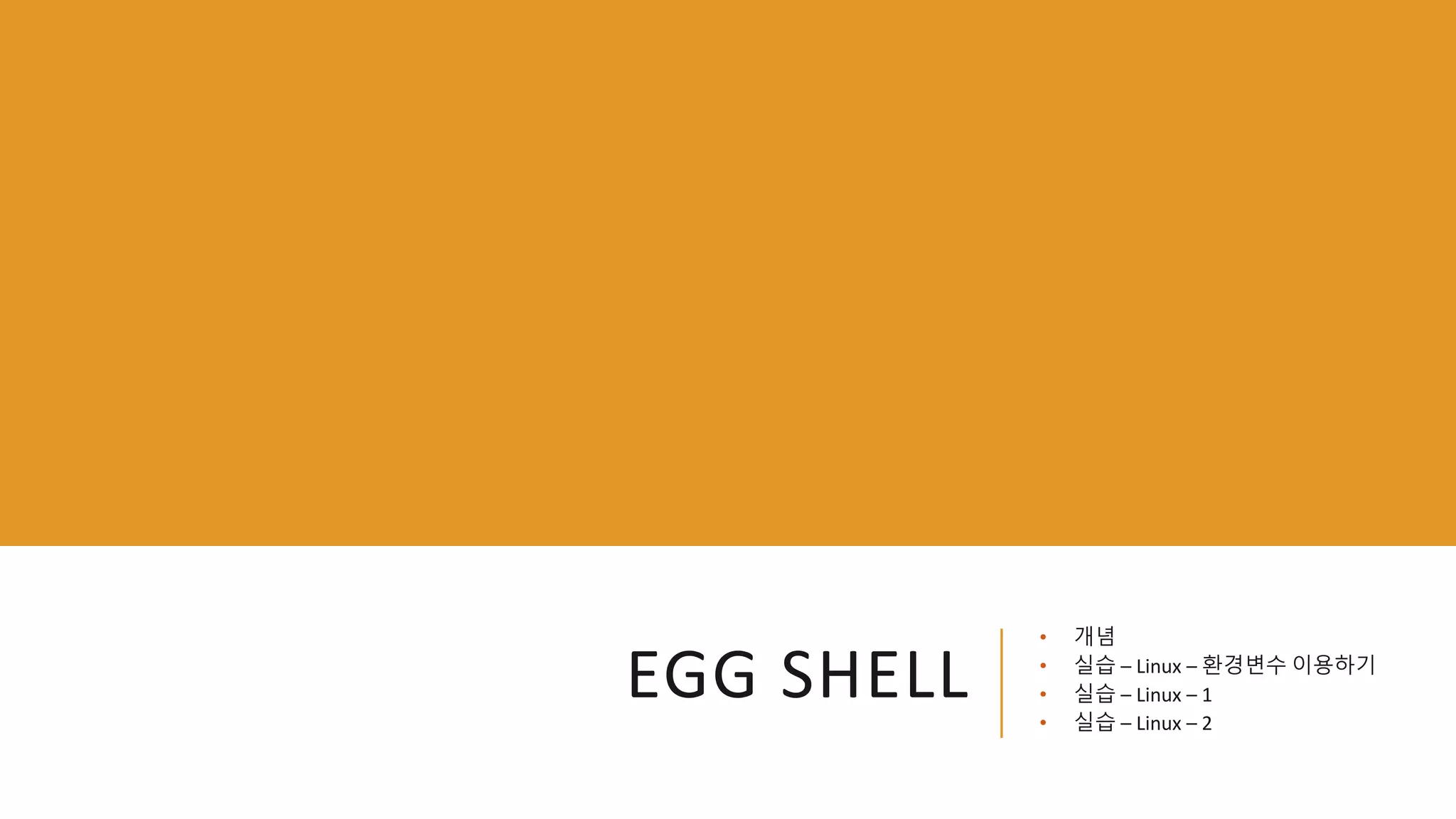 EGG SHELL
• 개념
• 실습 – Linux – 환경변수 이용하기
• 실습 – Linux – 1
• 실습 – Linux – 2
 