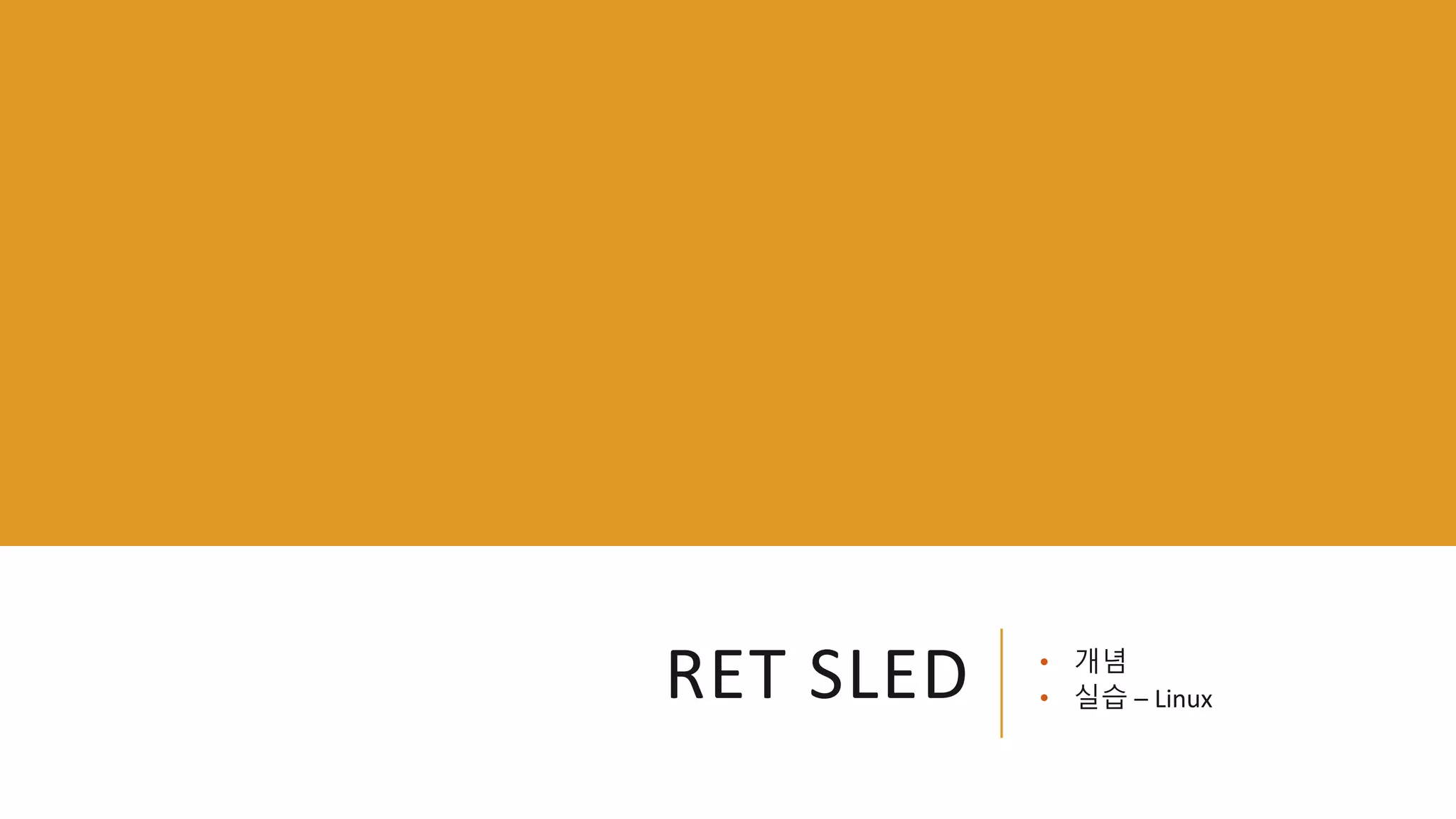 RET SLED • 개념
• 실습 – Linux
 