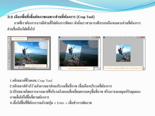 3.5 เลือกพื้นที่เพื่อตัดภาพเฉพาะส่วนที่ต้องการ (Crop Tool)
ภาพที่เราต้องการอาจมีส่วนที่ไม่ต้องการติดมา ดังนั้นเราสามารถตีกรอบเลือกเฉพาะส่วนที่ต้องการ
ส่วนที่เหลือก็ตัดทิ้งไป
1.คลิกเมาส์ที่ไอคอน Crop Tool
2.คลิกเมาส์ค้างไว้แล้วลากเมาส์บนบริเวณพื้นที่ภาพ เพื่อเลือกบริเวณที่ต้องการ
3.ปรับขนาดโดยการลากเมาส์ที่บริเวณไอคอนสี่เหลี่ยมครอบครุพื้นที่ภาพ หรืออาจจะหมุนปรับมุมมอง
ภาพเพื่อให้ได้พื้นที่ตามต้องการ
4.เมื้อได้พื้นที่ที่ต้องการแล้วกดปุ่ม < Enter > เพื่อทาการตัดภาพ
 