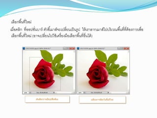 เลือกพื้นที่ใหม่
เมื่อคลิก ที่ออปชต่นบาร์ ุตวชี้เมาส์ัะเปลี่ยนเป็นรูป ให้เราลากเมาส์ไปบริเวณพื้นที่ทีุ่้องการเพื่อ
เลือกพื้นที่ใหม่ (อาัเปลี่ยนไปใช้เครื่องมือเลือกพื้นที่อื่นได้)
 