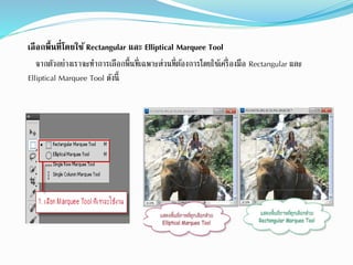 เลือกพื้นที่โดยใช้ Rectangular และ Elliptical Marquee Tool
จากตัวอย่างเราจะทาการเลือกพื้นที่เฉพาะส่วนที่ต้องการโดยใช้เครื่องมือ Rectangular และ
Elliptical Marquee Tool ดังนี้
 