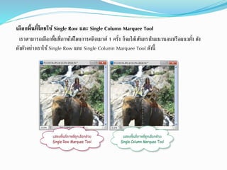 เลือกพื้นที่โดยใช้ Single Row และ Single Column Marquee Tool
เราสามารถเลือกพื้นที่ภาพได้โดยการคลิกเมาส์ 1 ครั้ง ก็จะได้เส้นตรงในแนวนอนหรือแนวตั้ง ดัง
ดังตัวอย่างเราใช้Single Row และ Single Column Marquee Tool ดังนี้
 