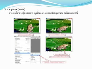 4.2 หมุนภาพ (Rotate)
หากภาพที่นามาอยู่ในทิศทาง หรือมุมที่ไม่ลงตัว เราสามารถหมุนภาพได้ดังขั้นตอนต่อไปนี้
 