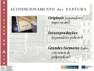 ACONDICIONAMENTO  das  ESPÉCIES Originais  (separadores papel neutro) Fotoreproduções  (separadores poliester) Grandes formatos  (tubos extensíveis de polipropileno) 